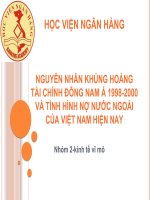 Nguyên nhân khủng hoảng tài chính Đông Nam Á 19982000 và tình hình nợ nước ngoài của Việt Nam hiện nay