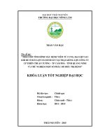 Theo dõi tình hình mắc bệnh viêm tử cung, bại liệt sau khi đẻ ở đàn lợn nái sinh sản tại trại giống lợn công ty CP Thiên Thuận Tường  TP Cẩm Phả  tỉnh Quảng Ninh và thử nghiệm một số phác đồ điều trị bệnh (Khóa luận tốt nghiệp)