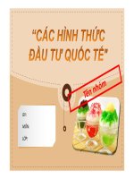 CÁC HÌNH THỨC  đầu tư QUỐC tế