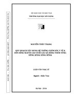 QHXD Hệ thống chăm sóc y tế và đời sống người cao tuổi tại các xã nông thôn vùng ĐBSH (Luận văn thạc sĩ)