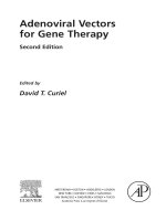 Adenoviral vectors for gene therapy second edition 