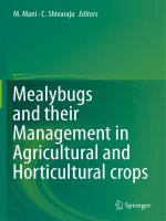 Mealybugs and their management in agricultural and horticultural crops 