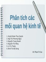 thuyết trình kinh tế lượng