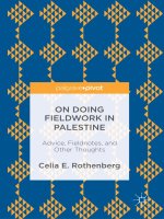 On doing fieldwork in palestine 