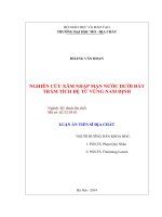 Nghiên cứu xâm nhập mặn nước dưới đất trầm tích đện tứ vùng nam định ( Luận án tiến sĩ)