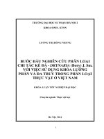 Bước đầu nghiên cứu phân loại chi tắc kè đá   drynaria (borry) j  sm  với việc sử dụng khoá lưỡng phân và đa truy trong phân loại thực vật ở việt nam