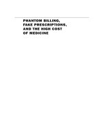 Phantom billing, fake prescriptions, and the high cost of medicine   health care fraud and what to do about it 