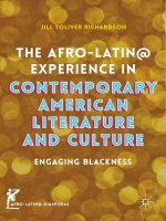 The afro latin experience in contemporary american literature and culture 