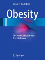 Obesity   the medical practitioner’s essential guide 