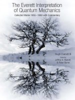 The everett interpretation of quantum mechanics 