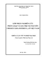 Góp phần nghiên cứu phân loại và giá trị tài nguyên chi ráy leo (pothos l ) ở việt nam