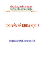 CHUYÊN ĐỀ KHOA HỌC: MỘT SỐ BIỆN PHÁP BẢO VỆ MÔI TRƯỜNG