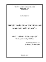 Truyện ngắn phan thị vàng anh dưới góc nhìn văn hóa