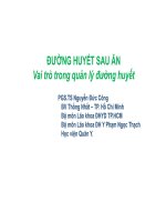 Đường Huyết Sau Ăn Vai Trò Trong Quản Lý Đường Huyết – PGS.TS Nguyễn Đức Công