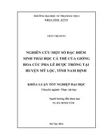 Nghiên cứu một số đặc điểm sinh thái học cá thể của giống hoa cúc pha lê được trồng tại huyện mỹ lộc, tỉnh nam định
