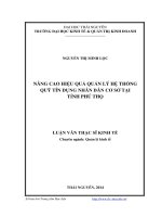 Nâng cao hiệu quả quản lý hệ thống quỹ tín dụng nhân dân cơ sở tại tỉnh phú thọ ( Luận văn thạc sĩ)