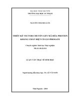 Thiết kế vector chuyển gen mã hóa protein kháng chất diệt cỏ glyphosate ( Luận văn thạc sĩ)