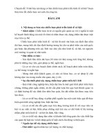 Tiểu luận môn chiến lược phát triển kinh tế xã hội