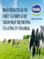 PHÂN TÍCH CƠ CẤU TỔ CHỨC VÀ CHIẾN LƯỢC THÂM NHẬP THỊ TRƯỜNG CỦA CÔNG TY VINAMILK