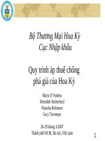 Quy trình áp thuế chống phá giá của Hoa Kỳ