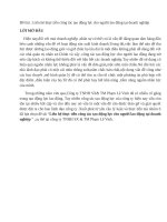 Liên hệ thực tiễn công tác tạo động lực cho người lao động tại doanh nghiệp Công ty TNHH SX  TM Phạm Lê Vinh