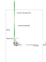 Bản chính tiểu luận