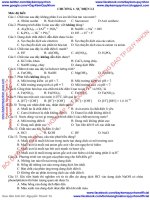 ÔN tập hóa 11 kỳ 1 có đáp án