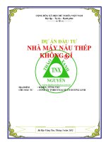 Thuyết minh dự án Nhà máy nấu thép không gỉ Bình Dương 0918755356