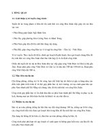 Thiet ke cong trinh bao ve bo song du an hoa xuan