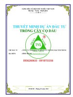 Thuyết minh dự án Trồng cây cọ dầu tỉnh Bình Thuận 0918755356