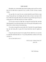 Đánh giá kết quả thực hiện nông thôn mới giai đoạn 2011 – 2016 trên địa bàn xã Trung Bì, huyện Kim Bôi, tỉnh Hòa Bình