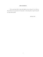 Nghiên cứu chuyển hóa rong biển, phế thải nông nghiệp chứa carbohydrate thành ethanol sử dụng xúc tác sinh học (Luận án tiến sĩ)