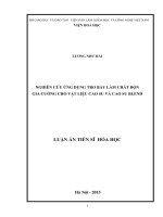 Nghiên cứu ứng dụng tro bay làm chất độn gia cường cho vật liệu cao su và cao su blend (Luận án tiến sĩ)