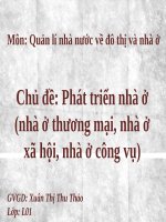 Phát triển nhà ở (nhà ở thương mại, nhà ở xã hội, nhà ở công vụ)