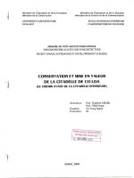 Conservation et mise en valeur de la citadelle de co loa (tt) 