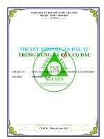 Thuyết minh dự án trồng rừng và cây cọ dầu tỉnh Bình Thuận 0918755356