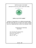 ĐÁNH GIÁ ẢNH HƯỞNG CỦA CHÍNH SÁCH ĐỒN ĐIỀN ĐỔI THỬA ĐẾN HIỆU QUẢ SỬ DỤNG ĐẤT NÔNG NGHIỆP TẠI XÃ AN THỊNH, HUYỆN LƯƠNG TÀI, TỈNH BẮC NINH