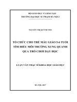 Tổ chức cho trẻ mẫu giáo 5   6 tuổi tìm hiểu môi trường xung quanh qua trò chơi dạy học