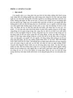 CTXH cá NHÂN với TRẺ KHUYẾT tật tại TRƯỜNG mù NGUYỄN ĐÌNH CHIỂU 