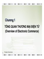 Chương 1; Tổng quan thương mại điện tử