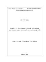 Nghiên cứu tính đa dạng thực vật thân gỗ tại khu bảo tồn thiên nhiên mường nhé, tỉnh điện biên 