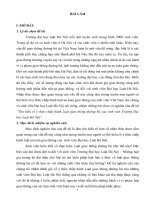 Tìm hiểu về ý thức chấp hành Luật giao thông đường bộ của sinh viên Trường Đại học Luật Hà Nội
