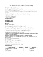 DỰ ÁN KINH DOANH SẢN PHẨM TAM THẤT XẠ ĐEN