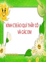 Giáo án điện tử : Bài 31: Mắt