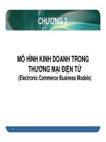 Chương 2; Mô hình kinh doanh trong thương mại điện tử