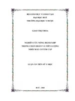 Nghiên cứu nồng độ HFABP trong chẩn đoán và tiên lượng nhồi máu cơ tim cấp (Luận án tiến sĩ)