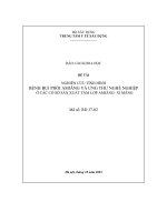 ĐỀ TÀI NGHIÊN CỨU TÌNH HÌNH BỆNH BỤI PHỔI AMIĂNG VÀ UNG THƯ NGHỀ NGHIỆP Ở CÁC CƠ SỞ SẢN XUẤT TẤM LỢP AMIĂNG- XI MĂNG
