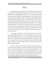 tieu luan chuyen vien chinh