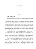 khoa luan phát triển nguồn nhân lực phục vụ sự nghiệp công nghiệp hóa, hiện đại hóa ở tỉnh hải dương trong giai đoạn hiện nay