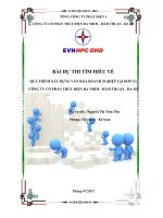 BÀI DỰ THI TÌM HIỂU VỀ QUÁ TRÌNH XÂY DỰNG VĂN HÓA DOANH NGHIỆP TẠI ĐƠN VỊ CÔNG TY CỔ PHẦN THỦY ĐIỆN ĐA NHIÊM - HÀM THUẬN - ĐA MI